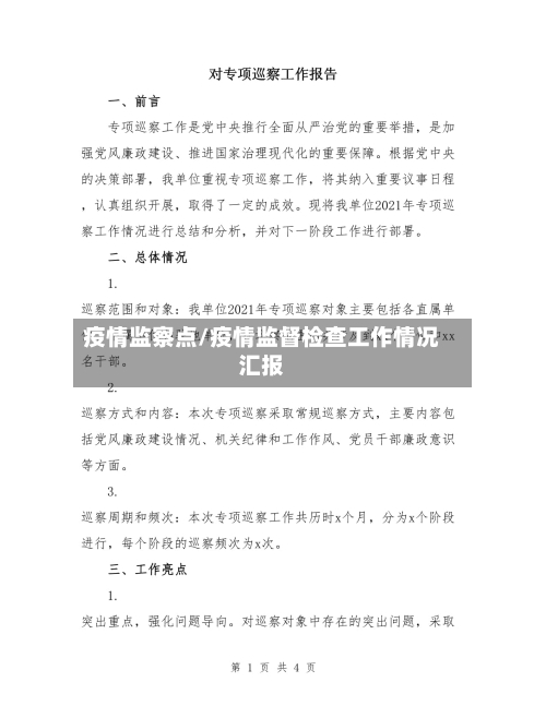 疫情监察点/疫情监督检查工作情况汇报-第3张图片