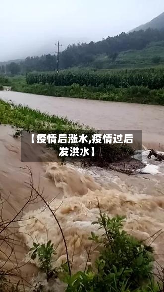 【疫情后涨水,疫情过后发洪水】-第2张图片