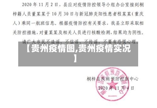 【贵州疫情图,贵州疫情实况】-第3张图片