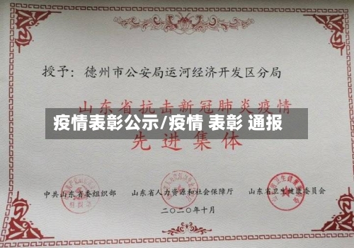 疫情表彰公示/疫情 表彰 通报-第2张图片