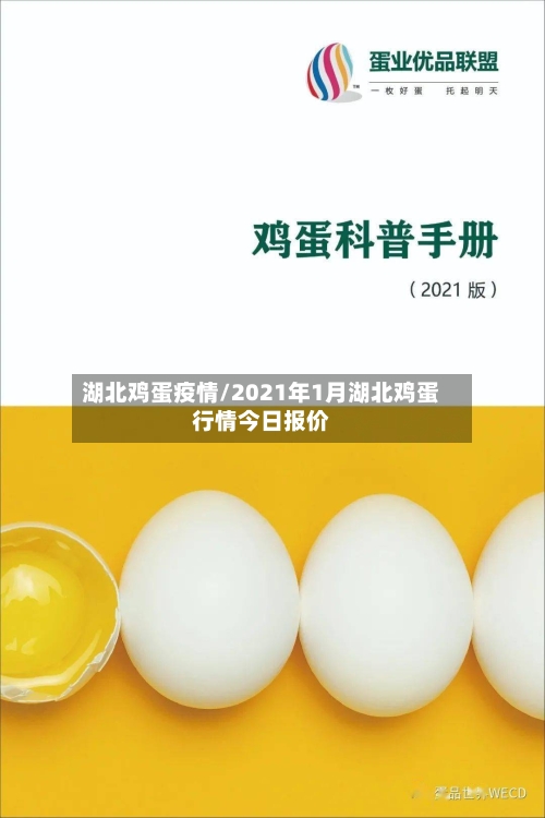 湖北鸡蛋疫情/2021年1月湖北鸡蛋行情今日报价