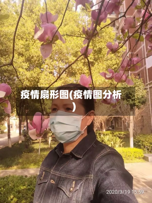 疫情扇形图(疫情图分析)