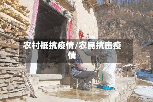农村抵抗疫情/农民抗击疫情