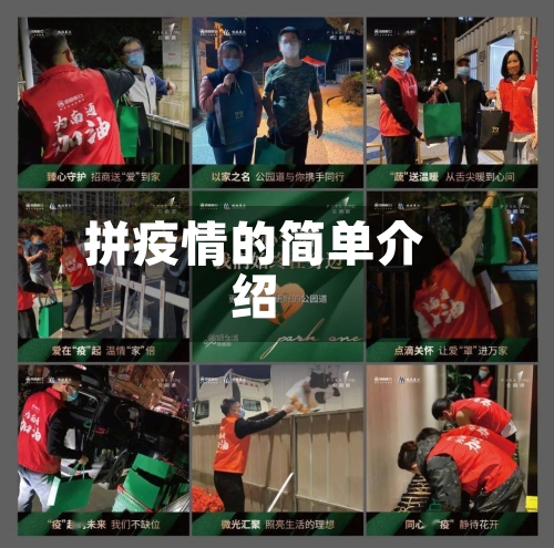 拼疫情的简单介绍