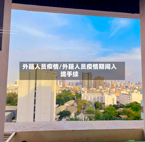 外籍人员疫情/外籍人员疫情期间入境手续-第3张图片