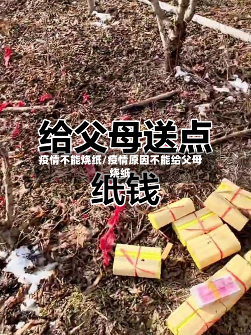 疫情不能烧纸/疫情原因不能给父母烧纸-第2张图片