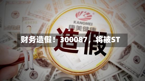 财务造假！300087	，将被ST-第3张图片