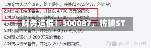 财务造假！300087，将被ST-第2张图片