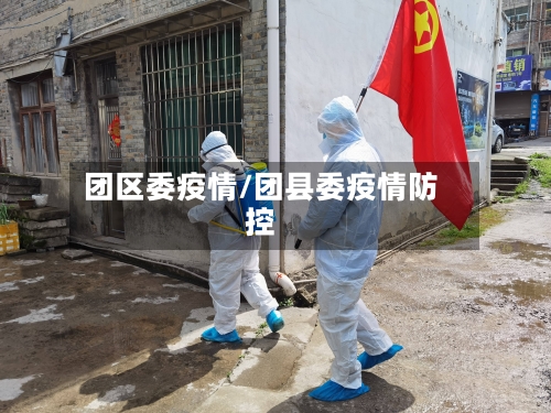 团区委疫情/团县委疫情防控