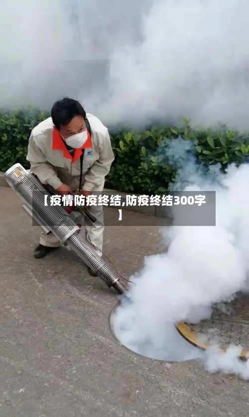 【疫情防疫终结,防疫终结300字】-第2张图片
