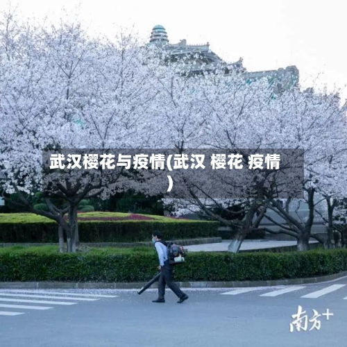 武汉樱花与疫情(武汉 樱花 疫情)-第2张图片