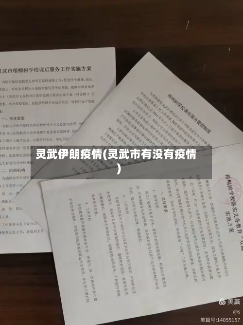 灵武伊朗疫情(灵武市有没有疫情)-第2张图片