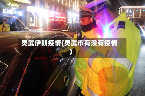 灵武伊朗疫情(灵武市有没有疫情)