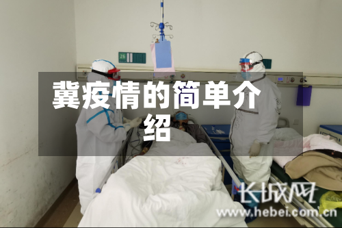 冀疫情的简单介绍