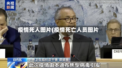 疫情死人图片(疫情死亡人员图片)