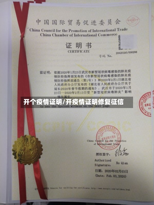 开个疫情证明/开疫情证明修复征信-第2张图片