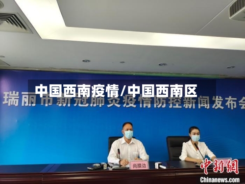 中国西南疫情/中国西南区