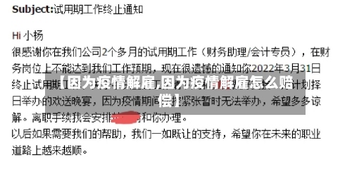 【因为疫情解雇,因为疫情解雇怎么赔偿】-第2张图片