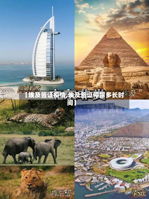 【埃及签证疫情,埃及签证停留多长时间】