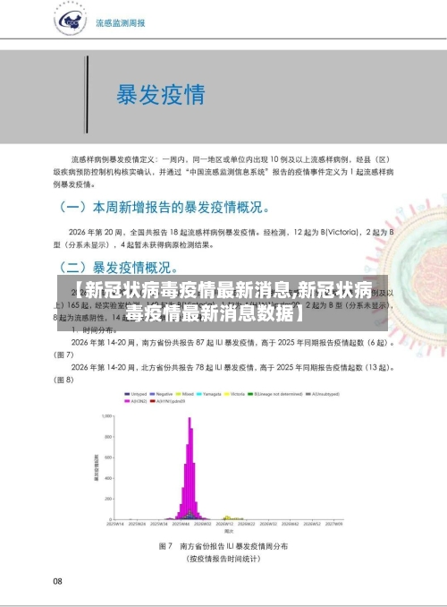 【新冠状病毒疫情最新消息,新冠状病毒疫情最新消息数据】