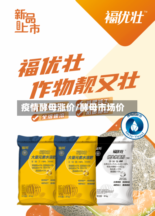 疫情酵母涨价/酵母市场价-第2张图片