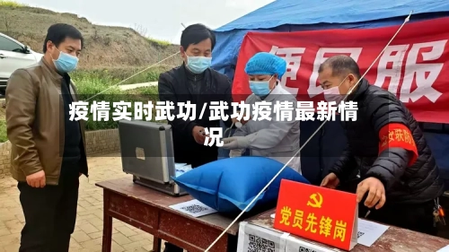 疫情实时武功/武功疫情最新情况-第2张图片