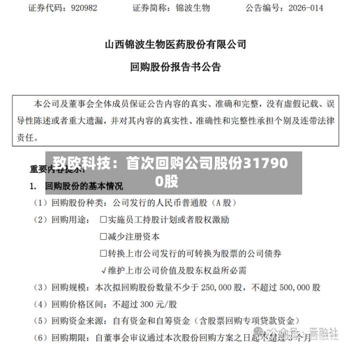 致欧科技：首次回购公司股份317900股-第2张图片