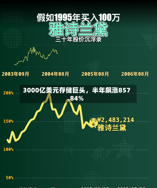 3000亿美元存储巨头，半年飙涨857.84%