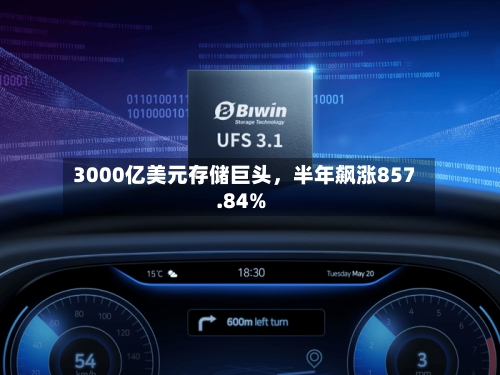 3000亿美元存储巨头	，半年飙涨857.84%-第2张图片