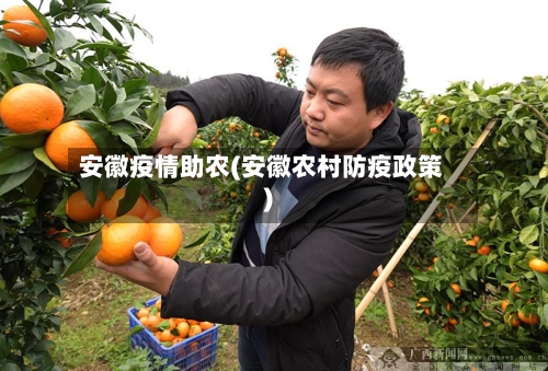安徽疫情助农(安徽农村防疫政策)-第3张图片