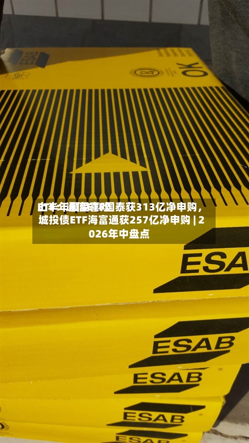 上半年最受喜欢ETF：通信ETF国泰获313亿净申购，城投债ETF海富通获257亿净申购 | 2026年中盘点-第1张图片