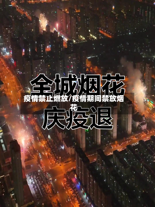 疫情禁止燃放/疫情期间禁放烟花-第2张图片