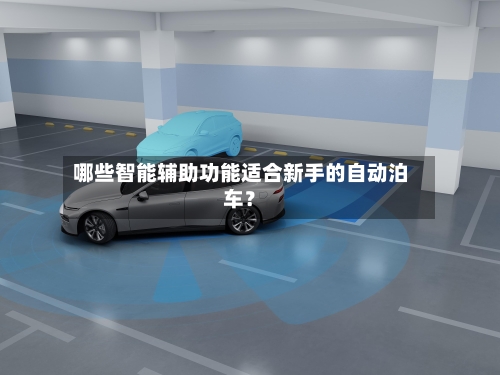 哪些智能辅助功能适合新手的自动泊车？-第2张图片