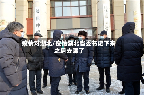 疫情对湖北/疫情湖北省委书记下来之后去哪了