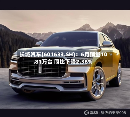 长城汽车(601633.SH)：6月销量10.81万台 同比下降2.36%