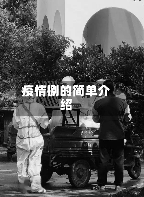 疫情捌的简单介绍