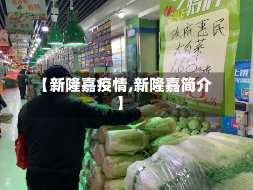 【新隆嘉疫情,新隆嘉简介】-第2张图片