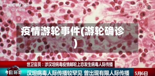 疫情游轮事件(游轮确诊)