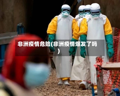 非洲疫情危险(非洲疫情爆发了吗)-第3张图片