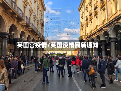 英国宫疫情/英国疫情最新通知-第2张图片