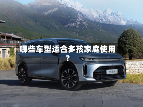 哪些车型适合多孩家庭使用？-第2张图片