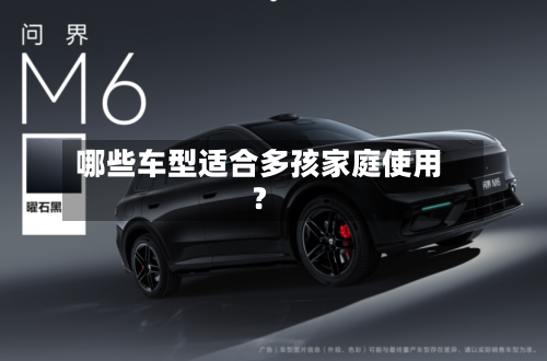 哪些车型适合多孩家庭使用？-第3张图片