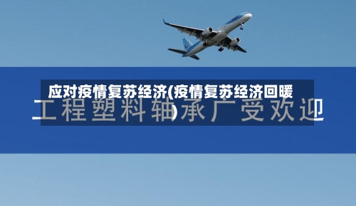 应对疫情复苏经济(疫情复苏经济回暖)-第2张图片