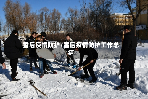 雪后疫情防护/雪后疫情防护工作总结