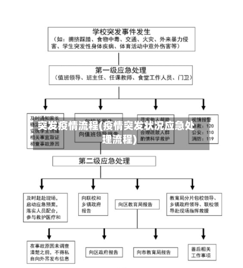 突发疫情流程(疫情突发状况应急处理流程)