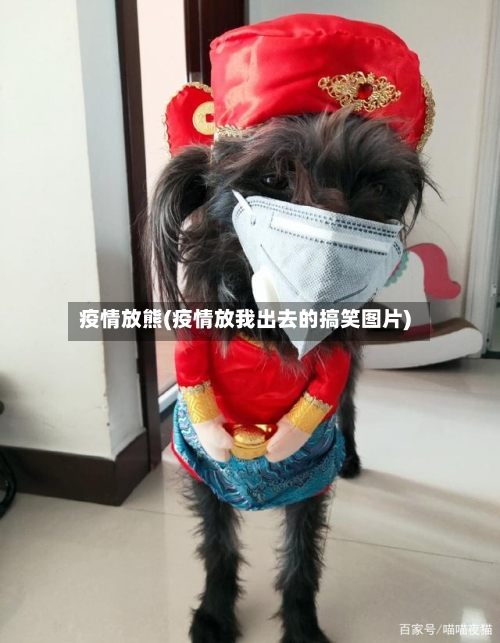 疫情放熊(疫情放我出去的搞笑图片)