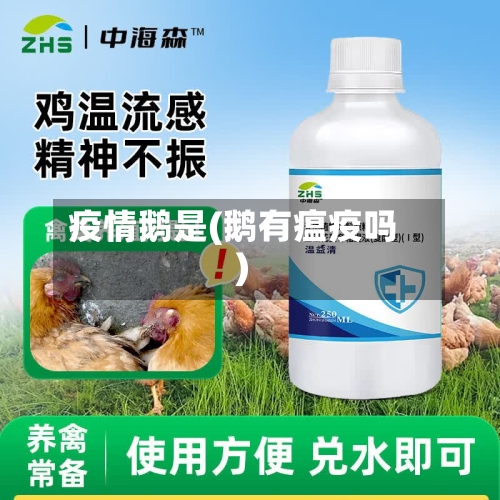 疫情鹅是(鹅有瘟疫吗)-第2张图片
