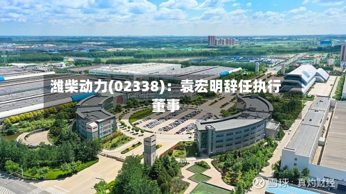 潍柴动力(02338)：袁宏明辞任执行董事