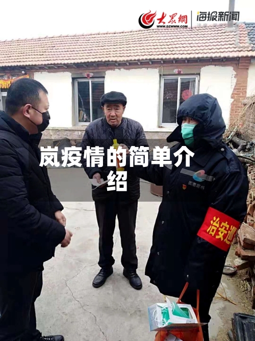 岚疫情的简单介绍