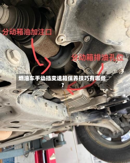 燃油车手动挡变速箱保养技巧有哪些?-第2张图片
